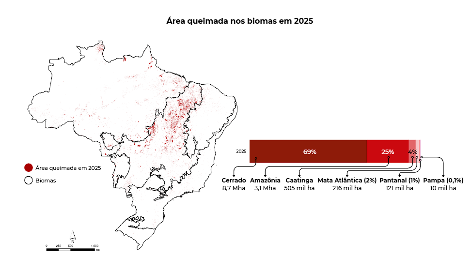 queima